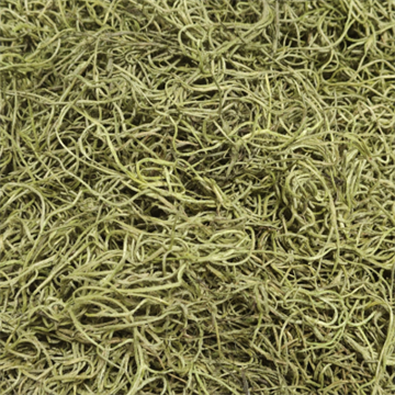 Tillandsia mosgrøn 200 gram.